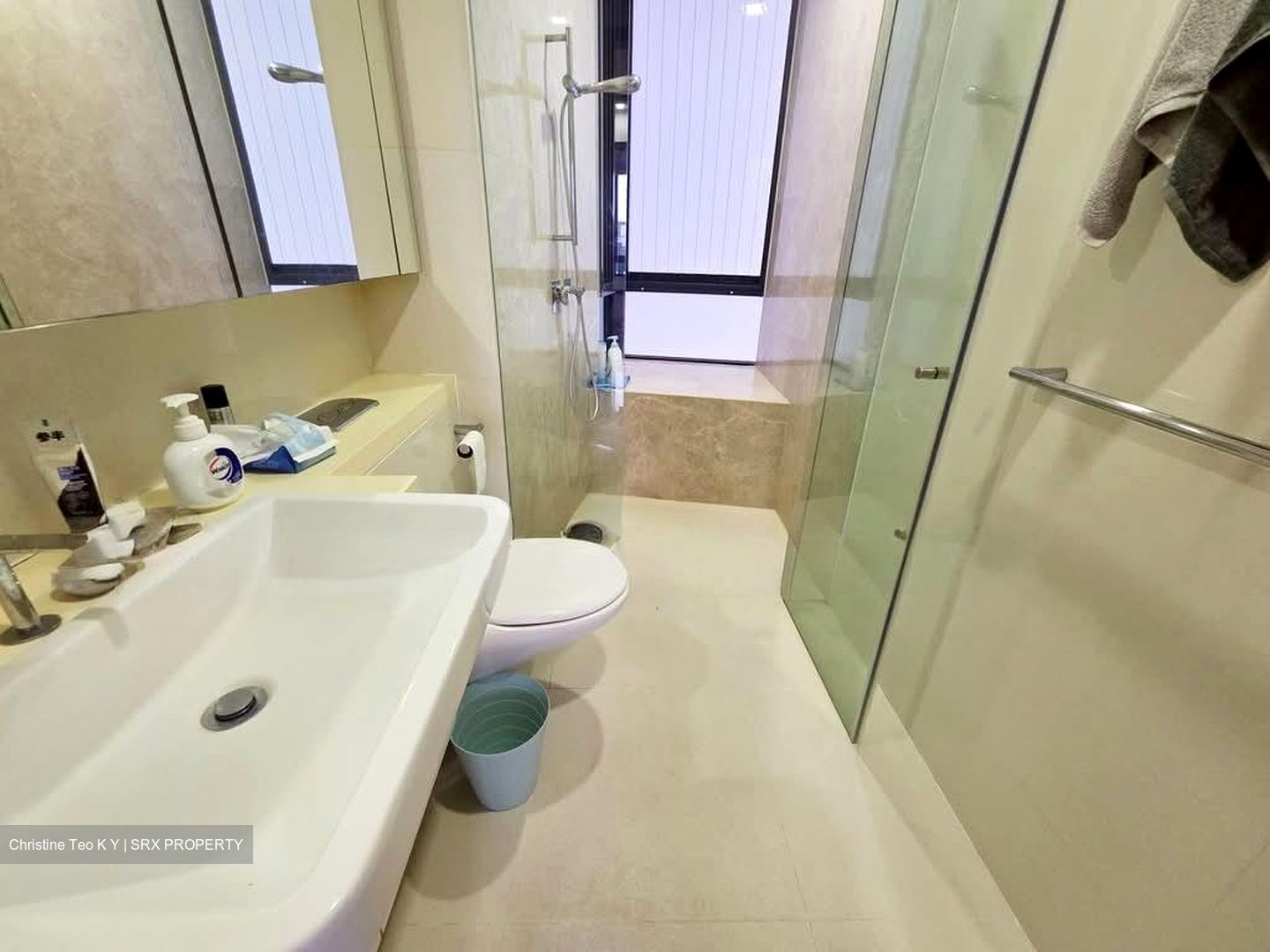 D'Leedon (D10), Condominium #580801311